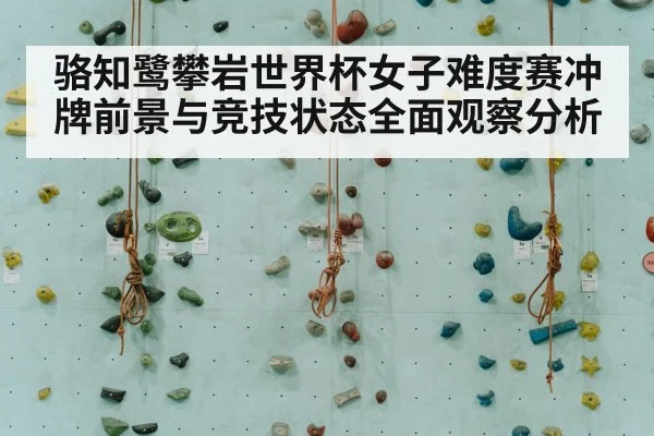 indoor sport climbing competition